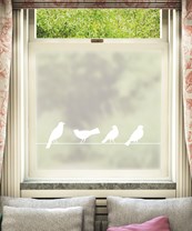Uccelli Bird Window Film Design