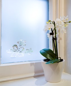 FB047 Frosted Window Film