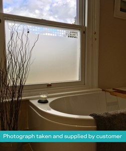 FB035 Frosted Window Film