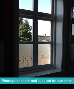 FB142 Frosted Window Film