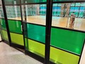 GOING FOR GREEN: WINDOW FILM TRANSFORMATION